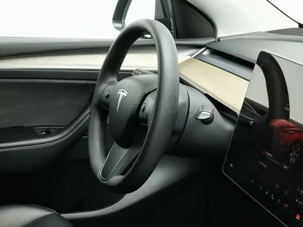 Tesla Model Y — миниатюра 22