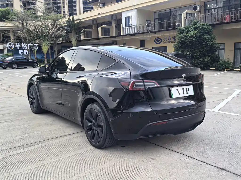 Tesla Model Y — миниатюра 5