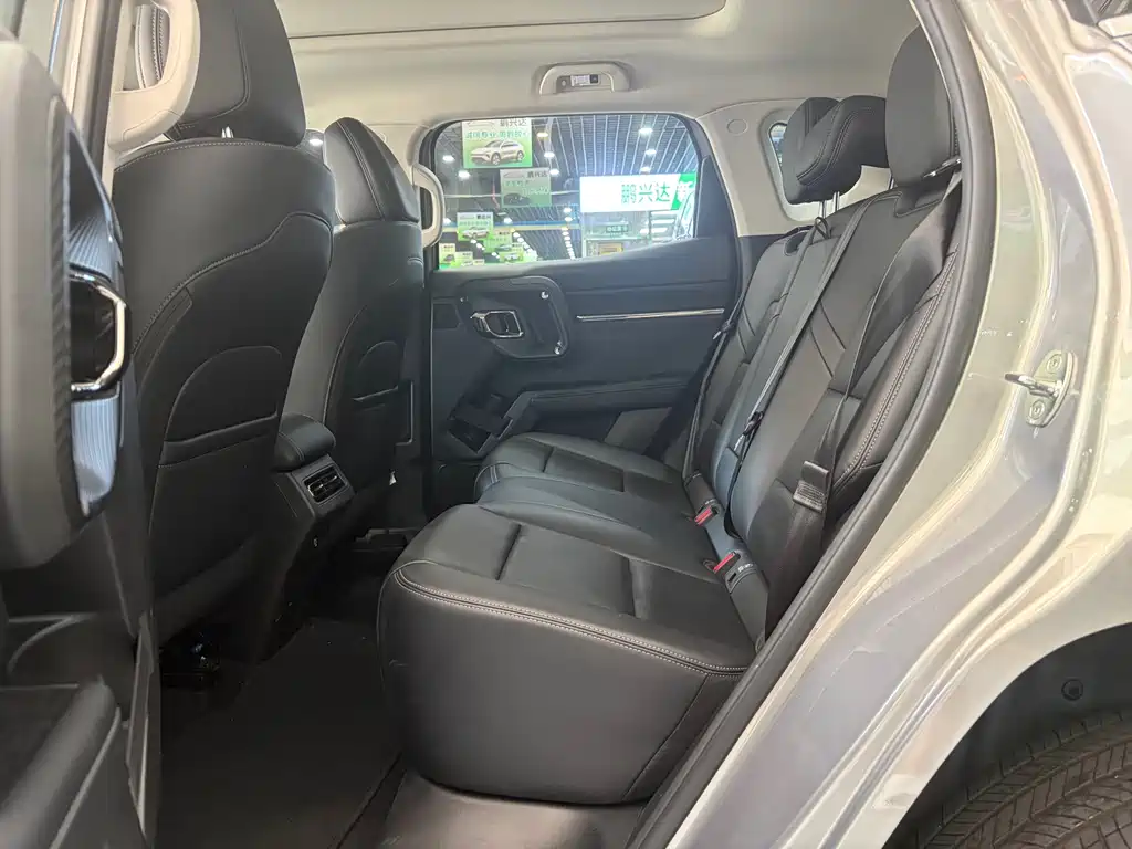 Haval Big Dog PLUS New Energy — миниатюра 7