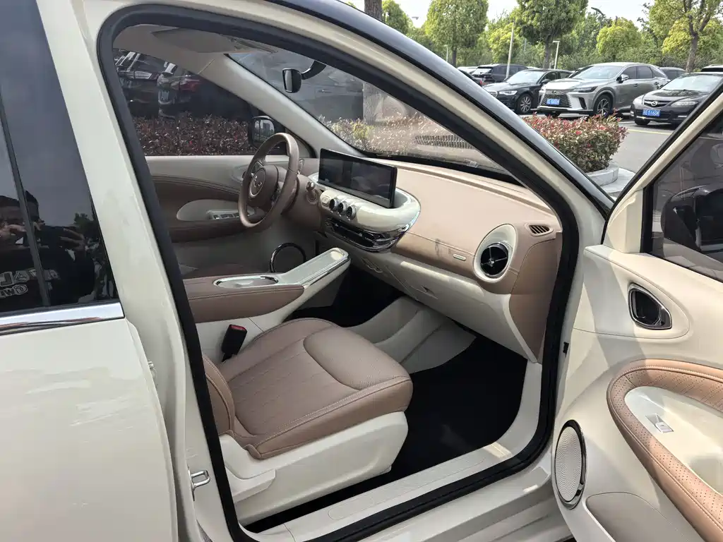 Wuling Binguo 2025 333km Enjoy