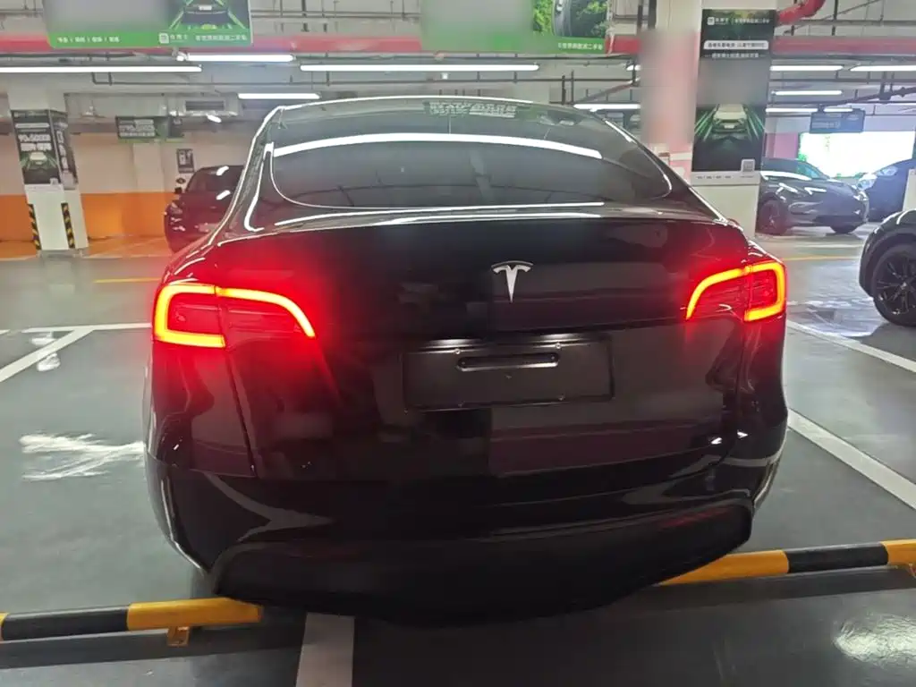Tesla Model Y — миниатюра 6
