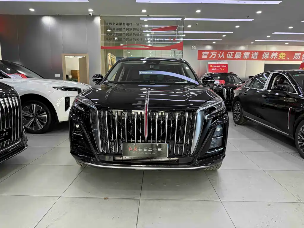 Hongqi Hongqi HS3 PHEV — миниатюра 2
