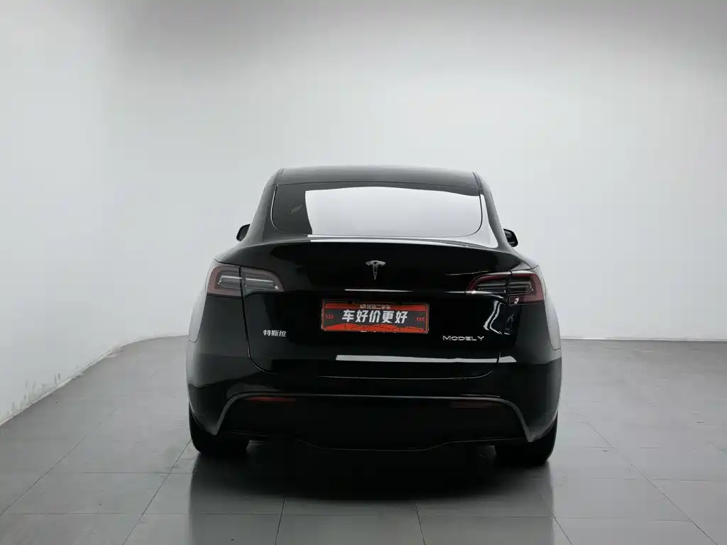 Tesla Model Y — миниатюра 4