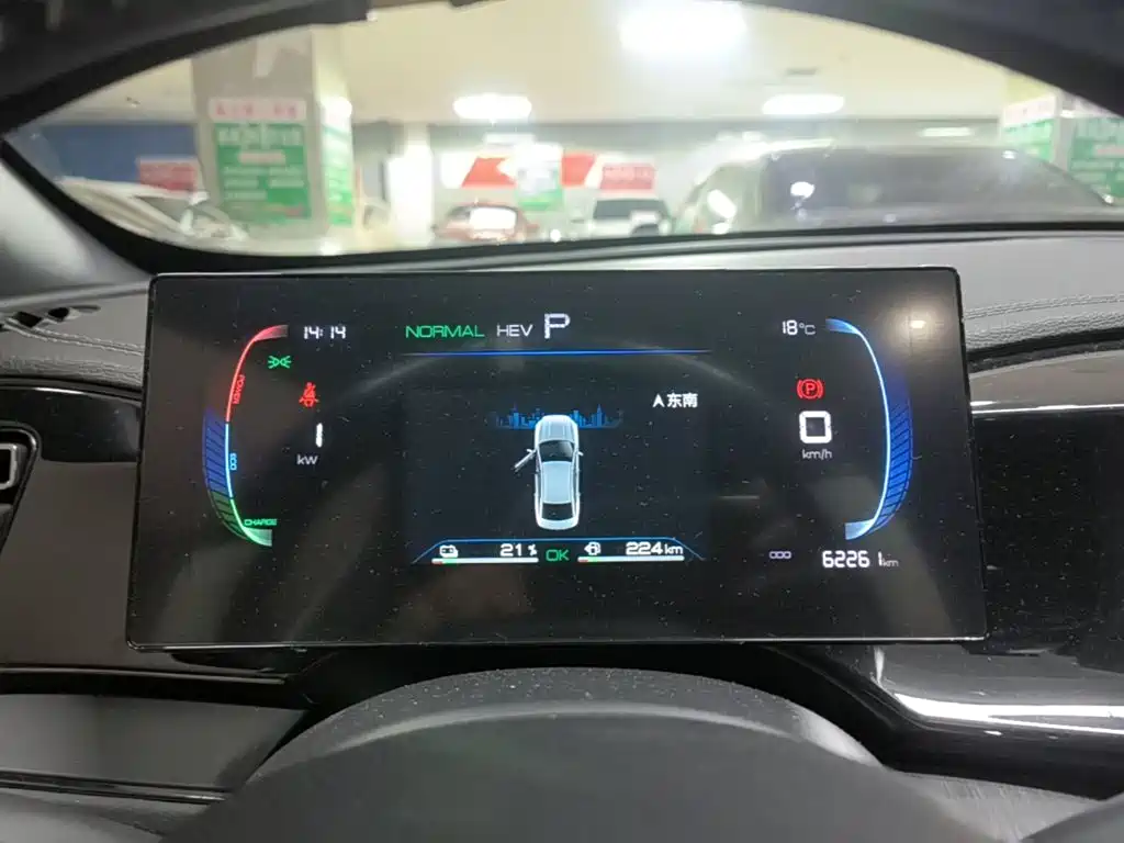 BYD Qin Plus PLUS 2023 Champion DM-i 55KM Lead