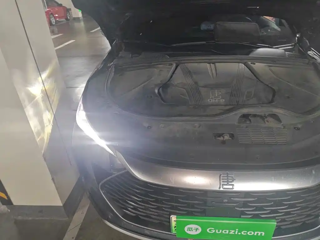 BYD Tang New Energy — миниатюра 21