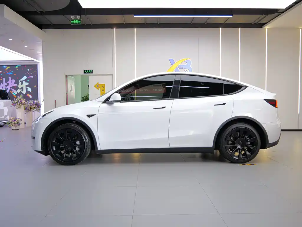 Tesla Model Y — миниатюра 9