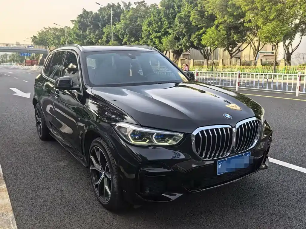 BMW X5 2022 xDrive 40Li Premium M Sport
