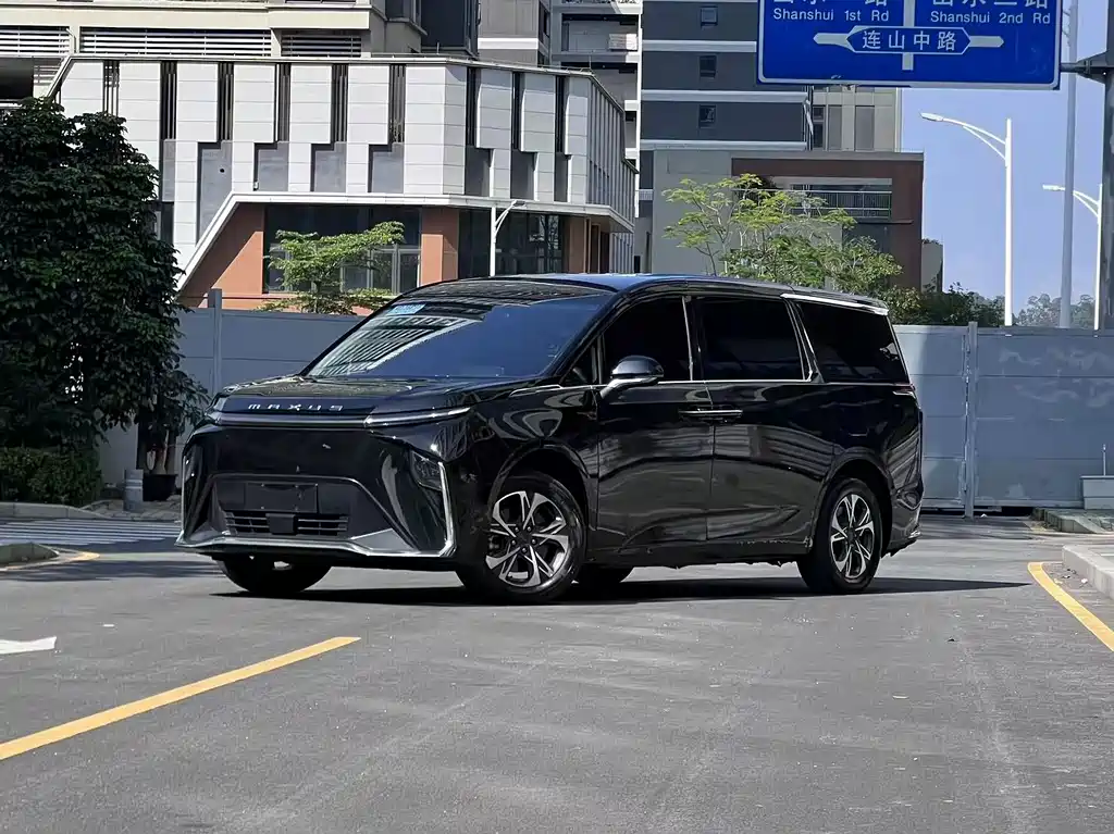 Maxus Dajia 9 — миниатюра 6
