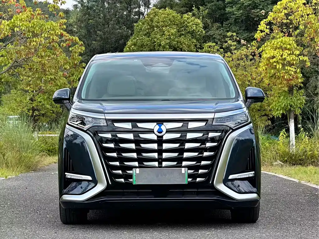 Denza Denza D9 — миниатюра 2