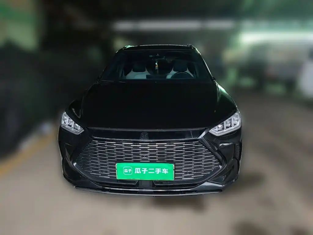 BYD PLUS New Energy — миниатюра 2