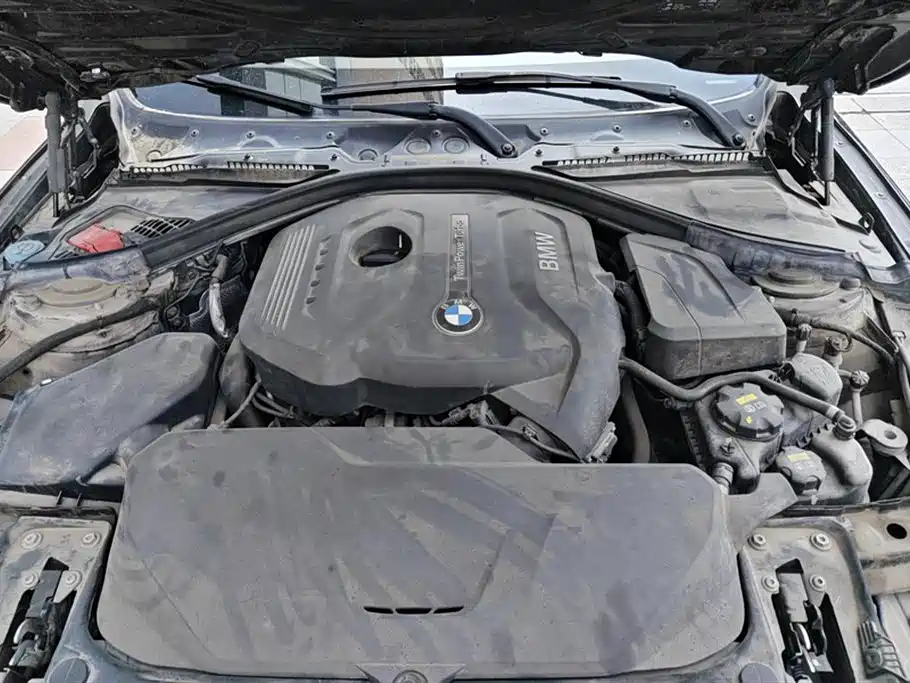 BMW 3 Series 3 2018 320Li Fashion