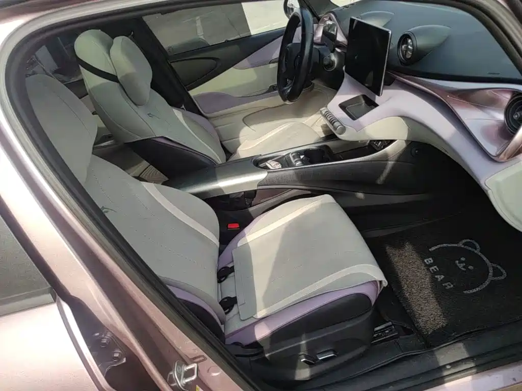 BYD Dolphin — миниатюра 25
