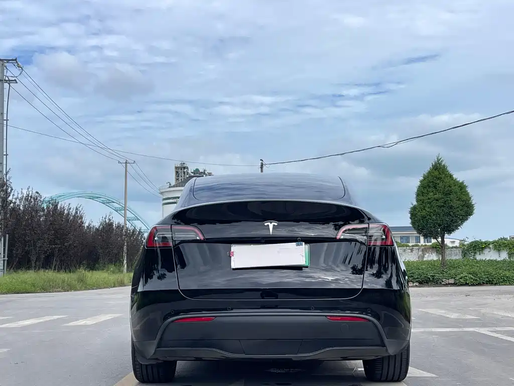Tesla Model Y — миниатюра 6