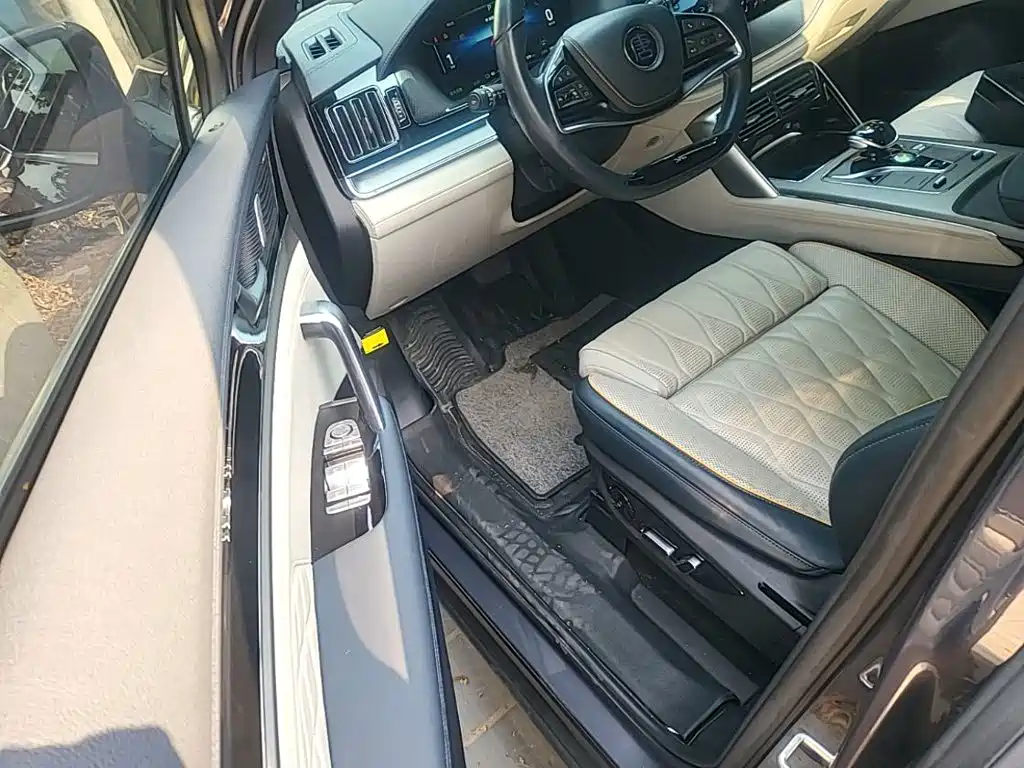 BYD Tang New Energy — миниатюра 15