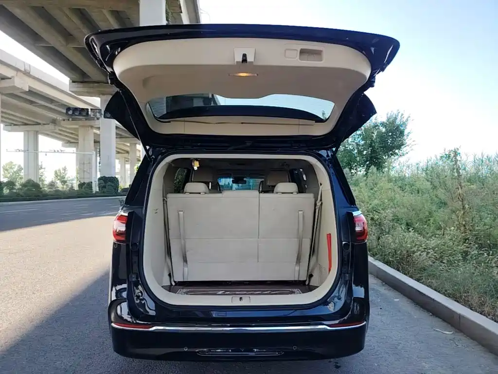 Buick GL8 — миниатюра 19