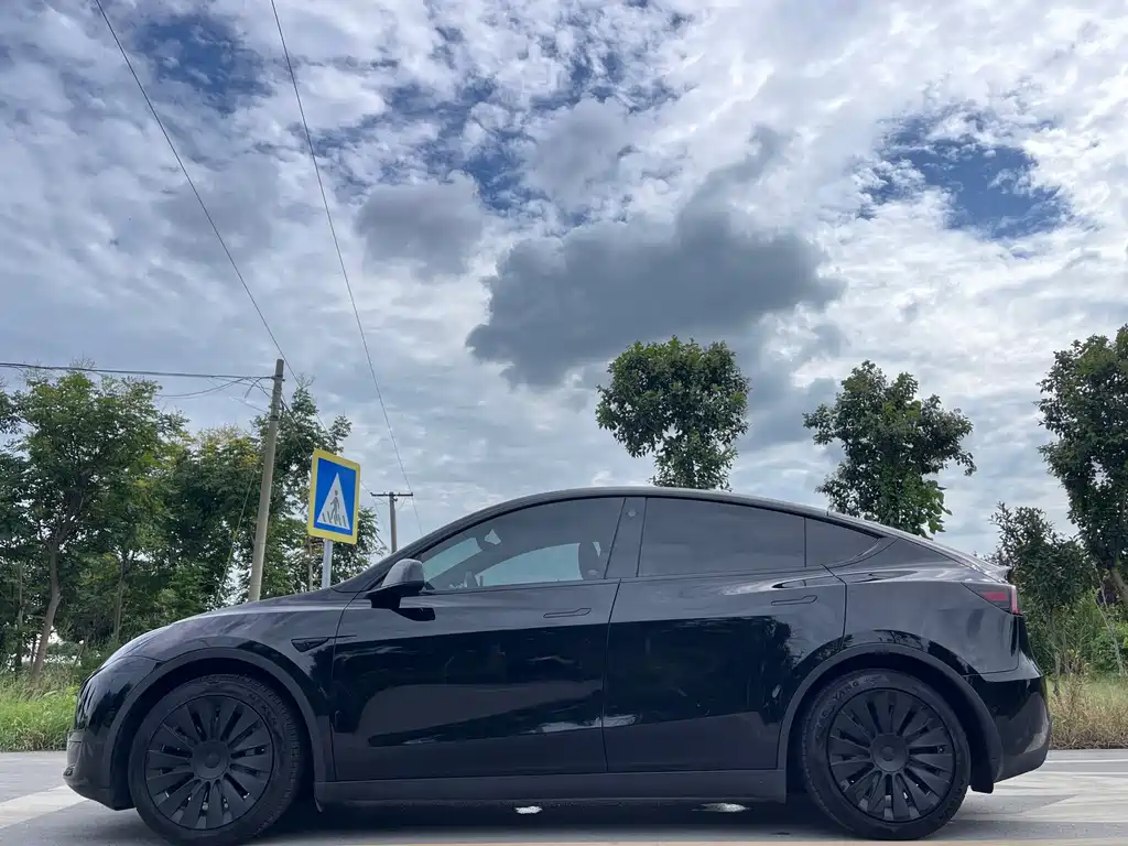 Tesla Model Y — миниатюра 4