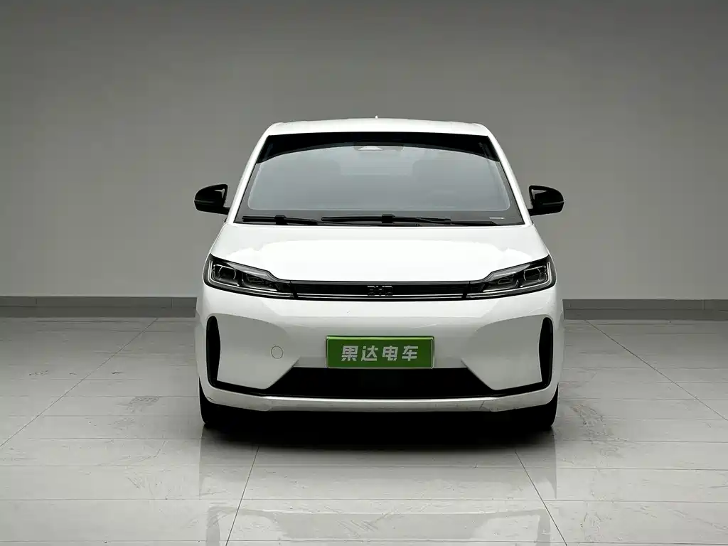 BYD D1 — миниатюра 2