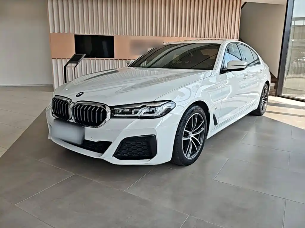 BMW 5 Series (Import)
