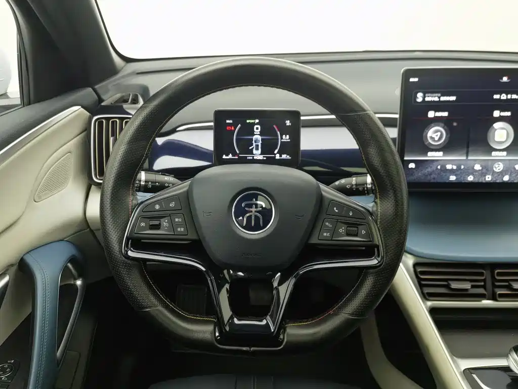 BYD Pro — миниатюра 11