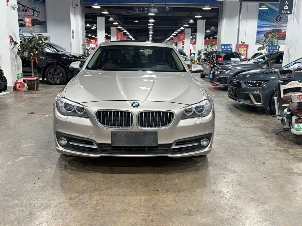 BMW 5 Series — миниатюра 3