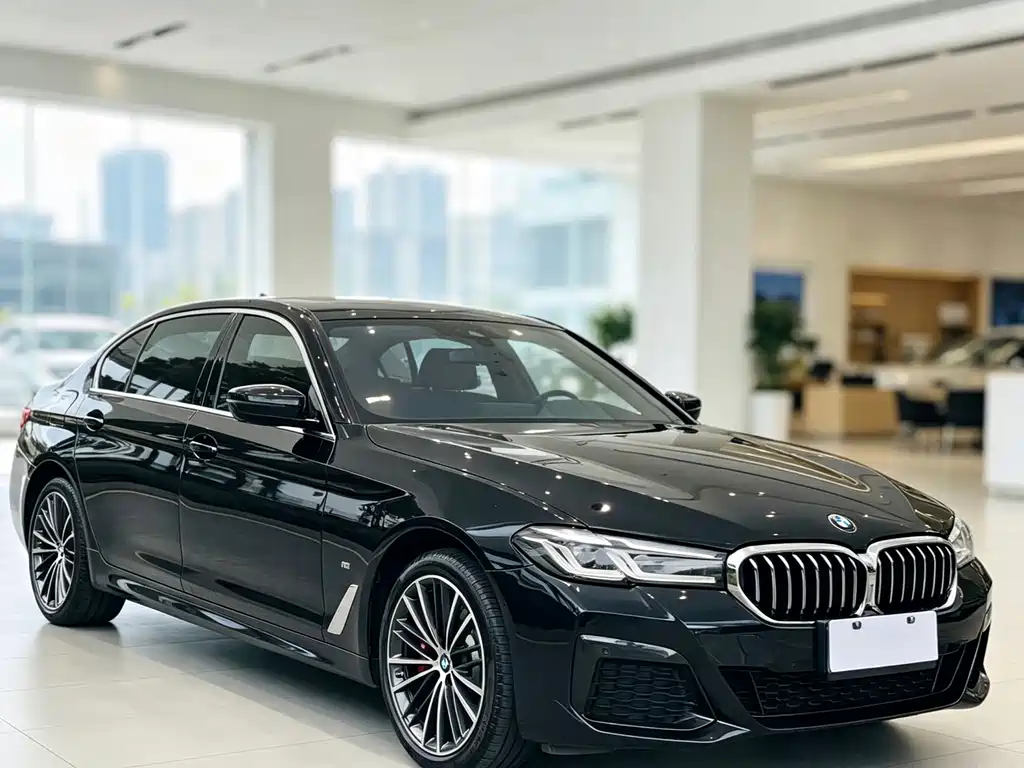 BMW 5 Series — миниатюра 3