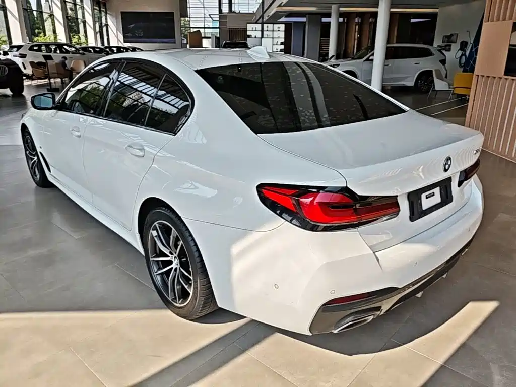 BMW 5 Series (Import) — миниатюра 5