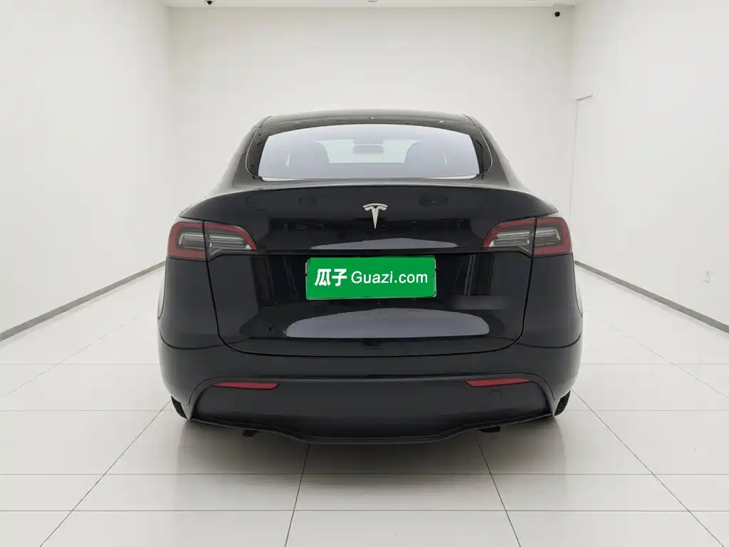 Tesla Model Y — миниатюра 5