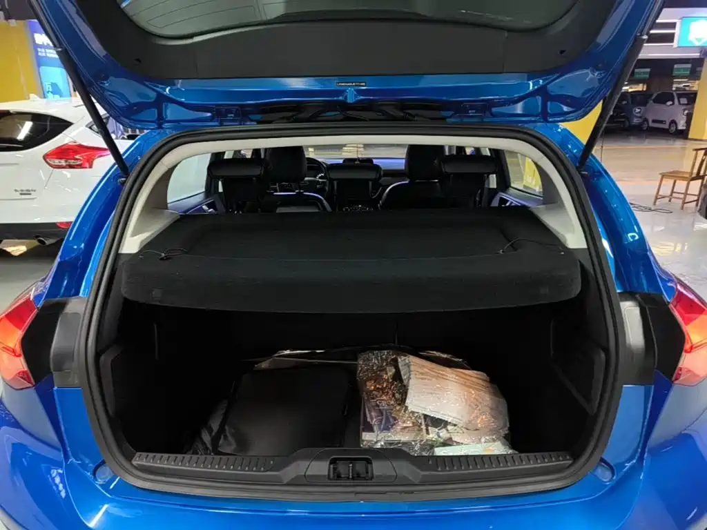 Ford Focus — миниатюра 19