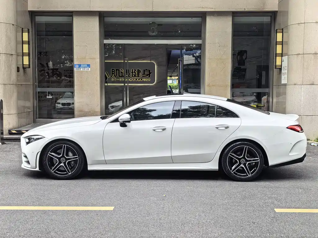 Mercedes-Benz CLS Facelift CLS 300 Luxury Type, фото 3