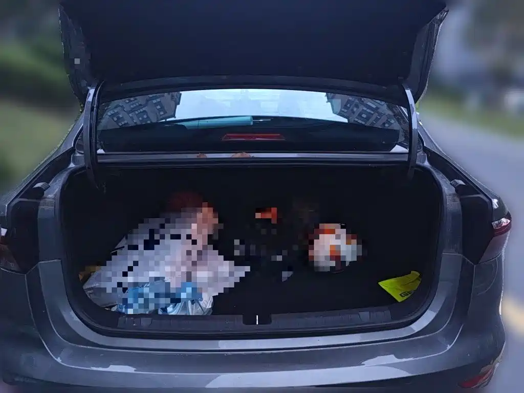 Geely Emgrand — миниатюра 15