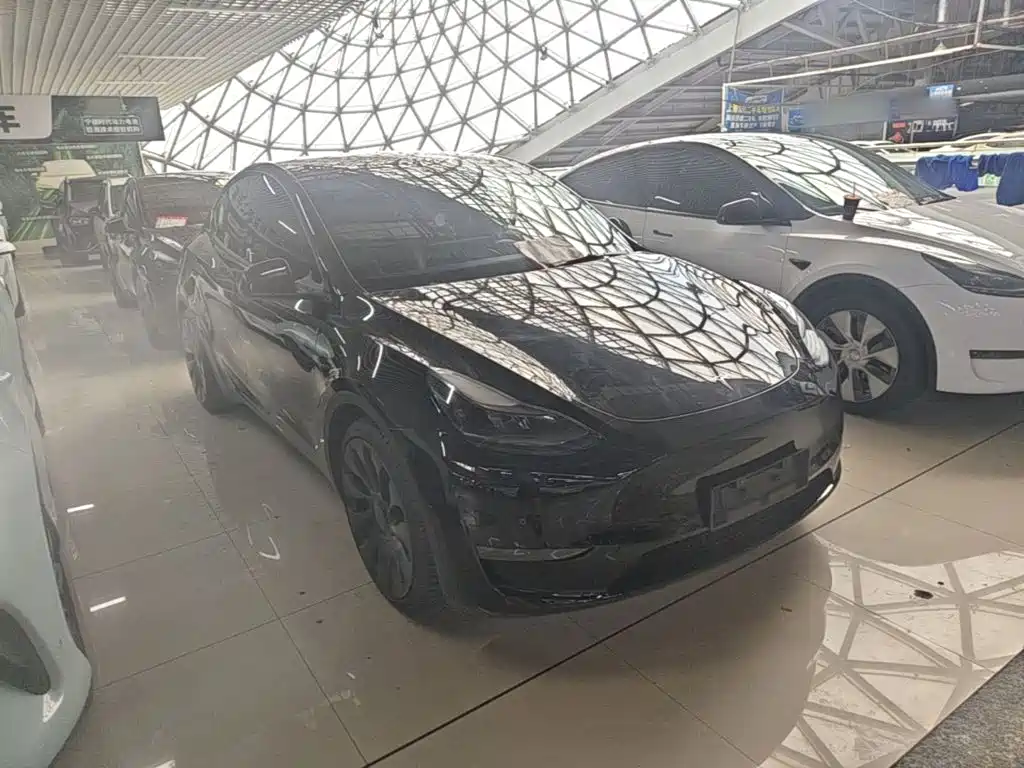 Tesla Model Y — миниатюра 4