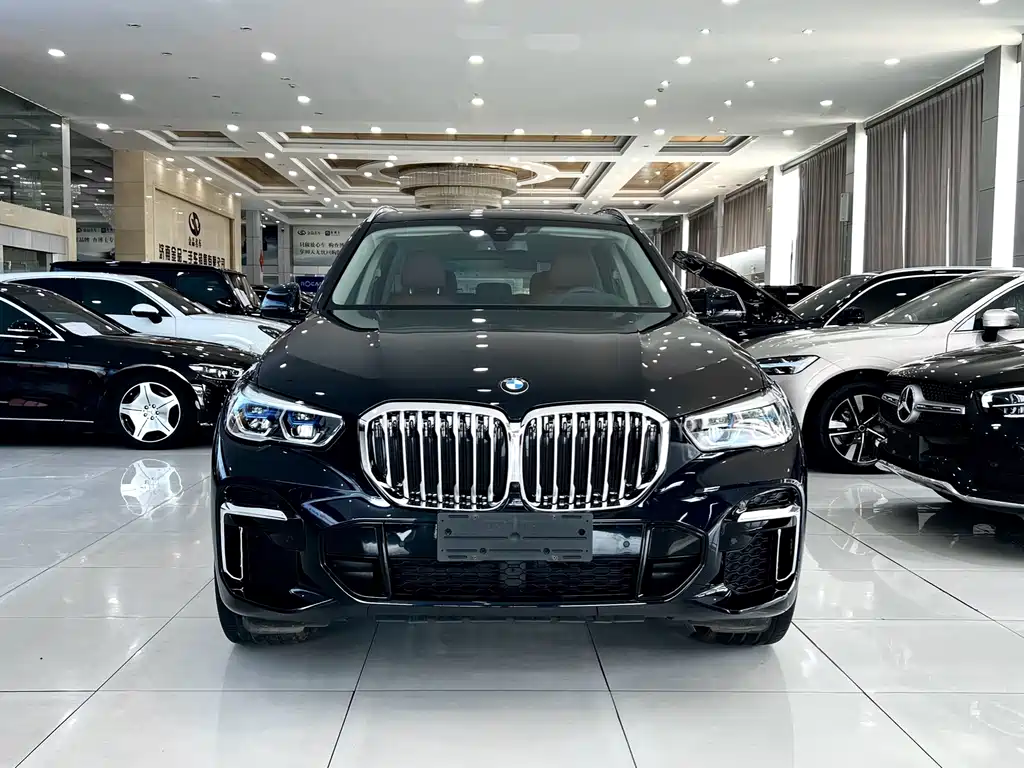 BMW X5 — миниатюра 3