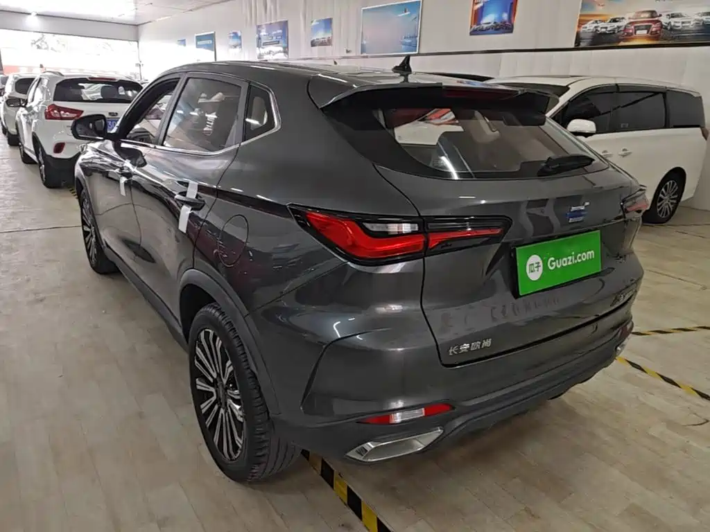 Oshan Oushang X5 — миниатюра 5