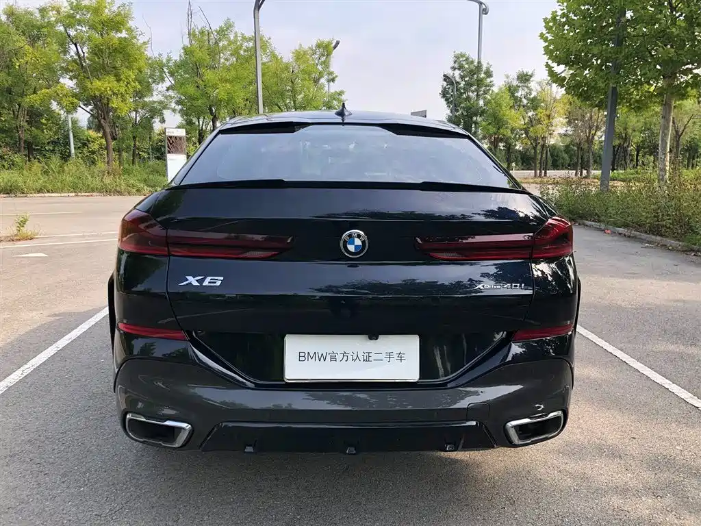 BMW X6 — миниатюра 3