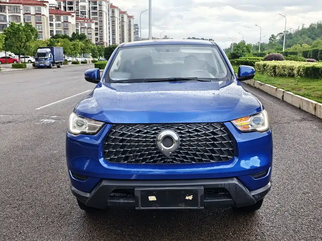 Great Wall Pao — миниатюра 21