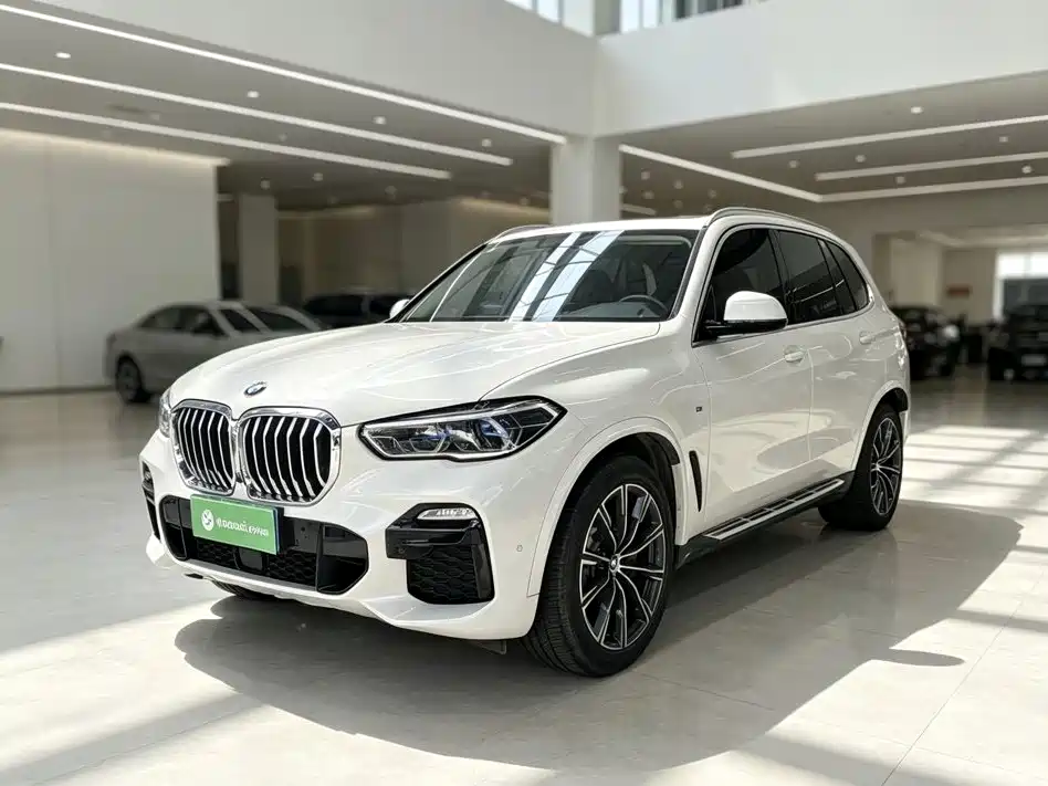 BMW X5 (Import) — миниатюра 2
