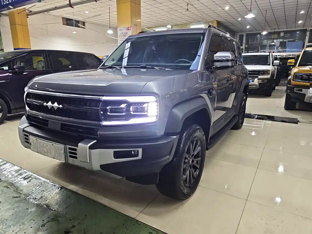 FANG CHENG BAO LEOPARD 5