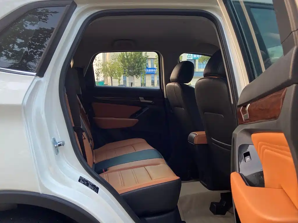 BAW Weiwang S50 — миниатюра 7