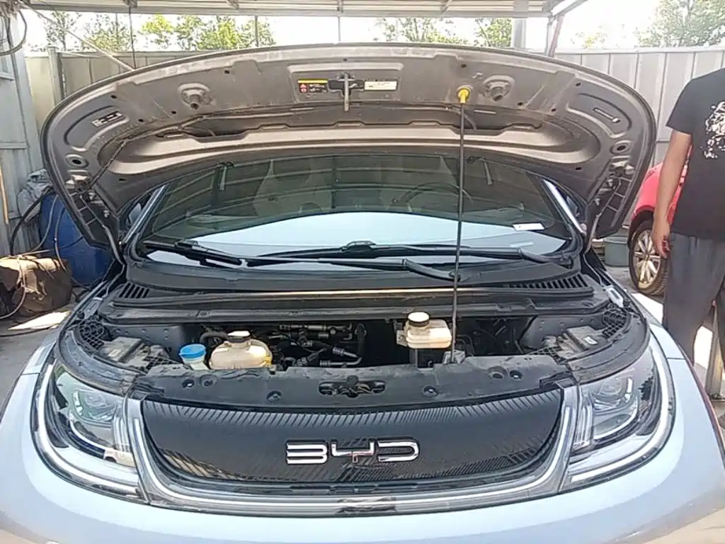BYD Dolphin — миниатюра 20