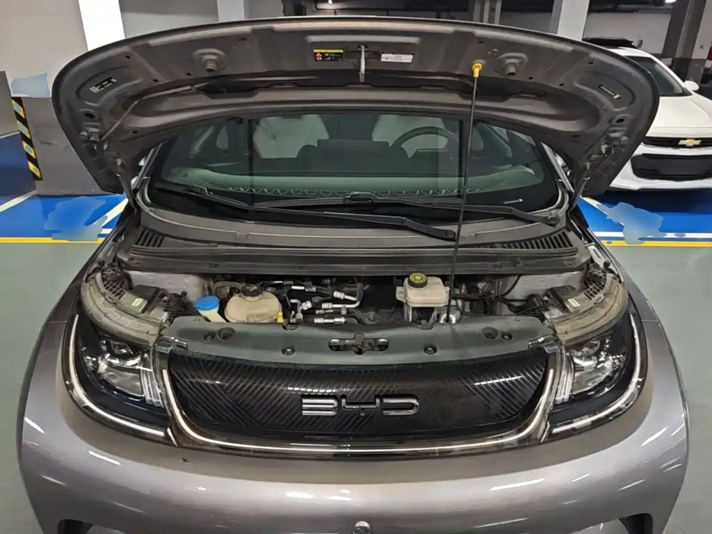BYD Dolphin — миниатюра 20