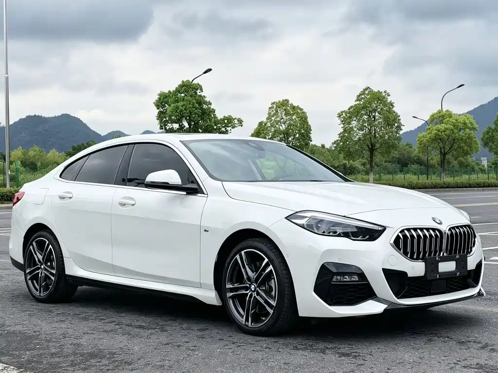 BMW 2 Series (Import) — миниатюра 3