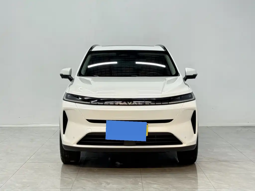 Haval 哈弗H6L — миниатюра 2