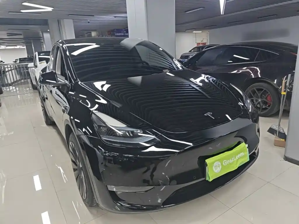 Tesla Model Y — миниатюра 4