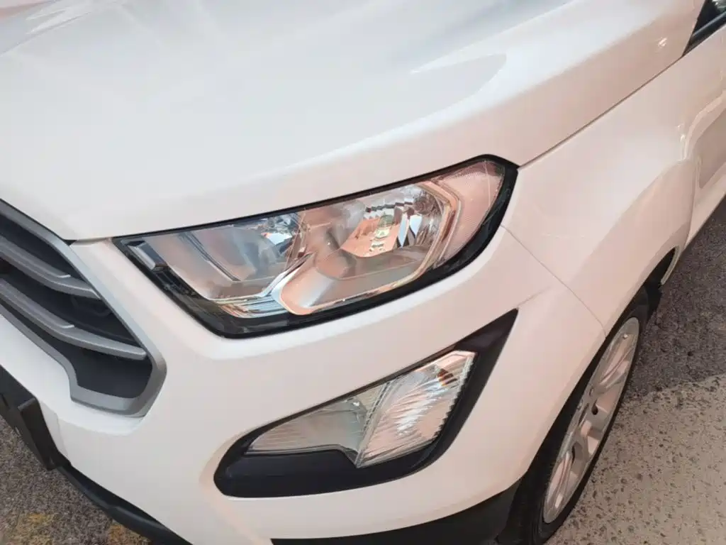Ford Ecosport — миниатюра 24