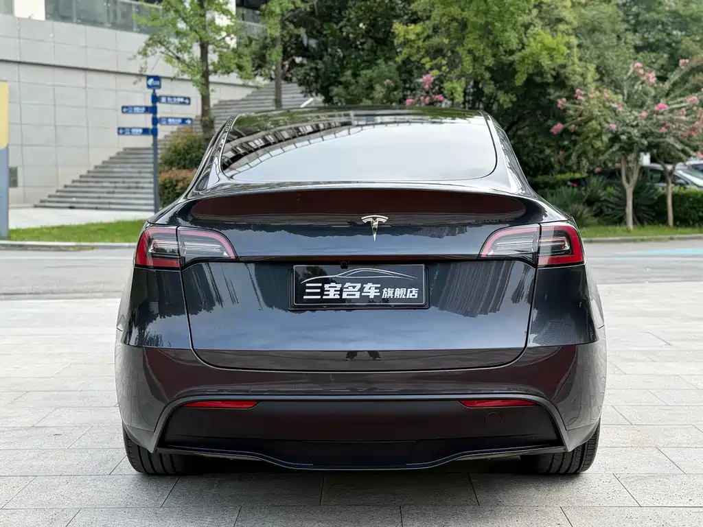 Tesla Model Y — миниатюра 7