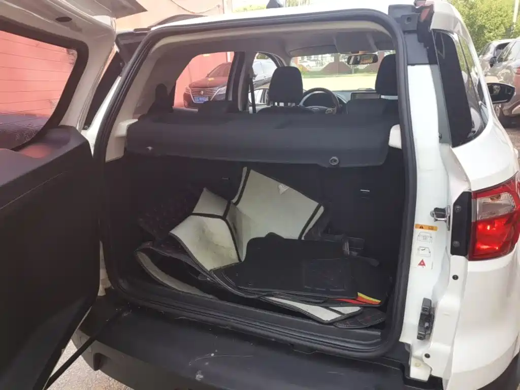 Ford Ecosport — миниатюра 19