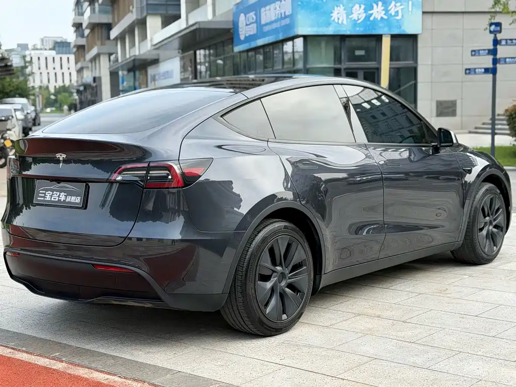 Tesla Model Y — миниатюра 8