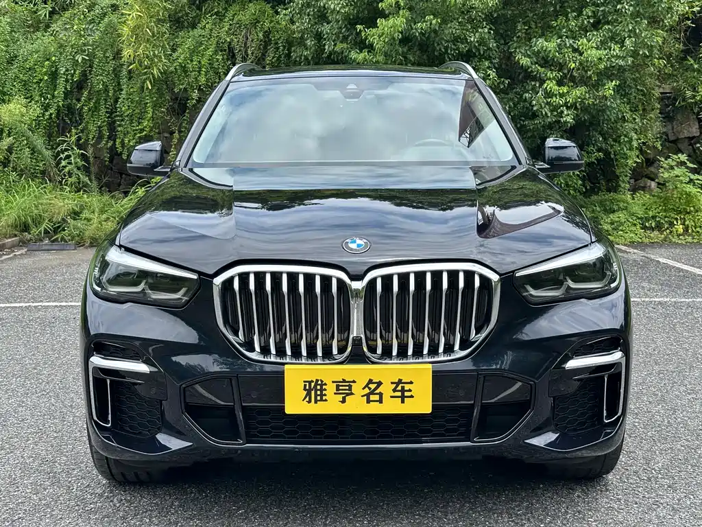 BMW X5 — миниатюра 2