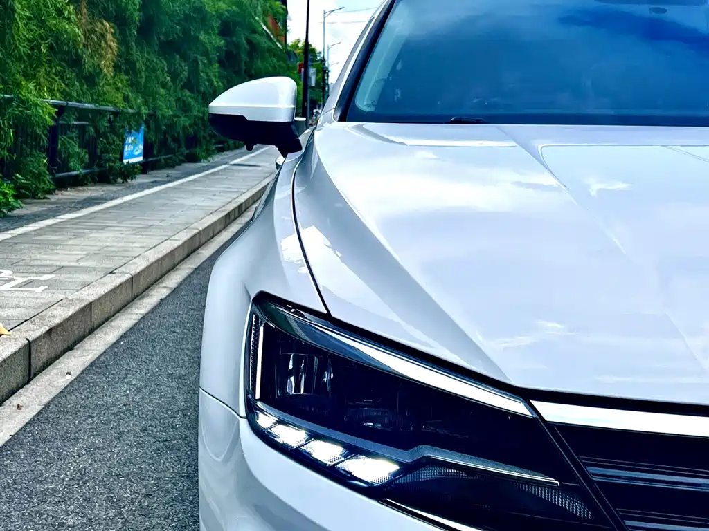 Volkswagen Lamando — миниатюра 4