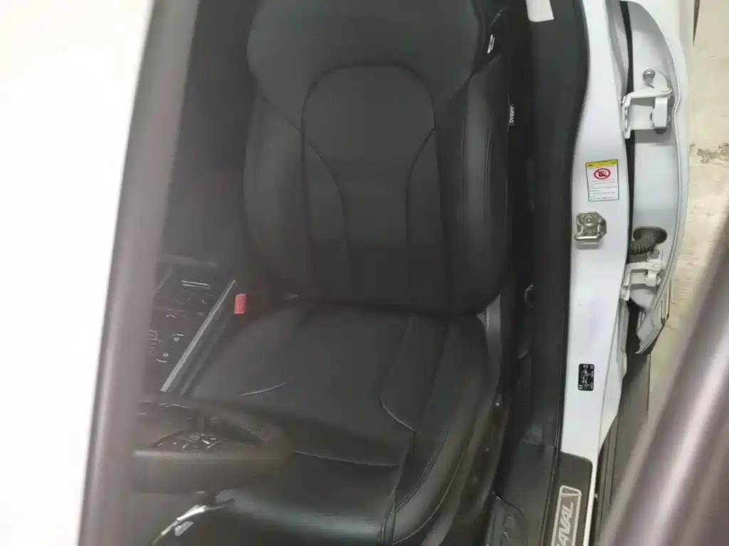 Haval H6 — миниатюра 15